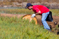 Chula Vista Nature Center Clean Up - 87