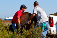 Chula Vista Nature Center Clean Up - 120