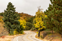 20161030 - 9980