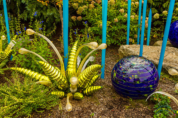 20140928 - 6684