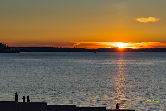 20241201-0O3A9445-Edit