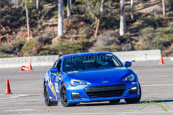 Solo 11-30-14 - IMG_7916