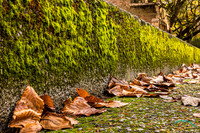 20241129-0O3A9304-Edit