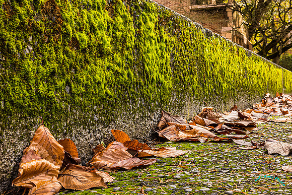 20241129-0O3A9304-Edit